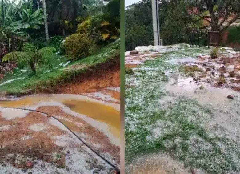 Fotos | Granizada destrozó cultivos y afectó viviendas en Guarne, Antioquia Fotos | Granizada destrozó cultivos y afectó viviendas en Guarne, Antioquia