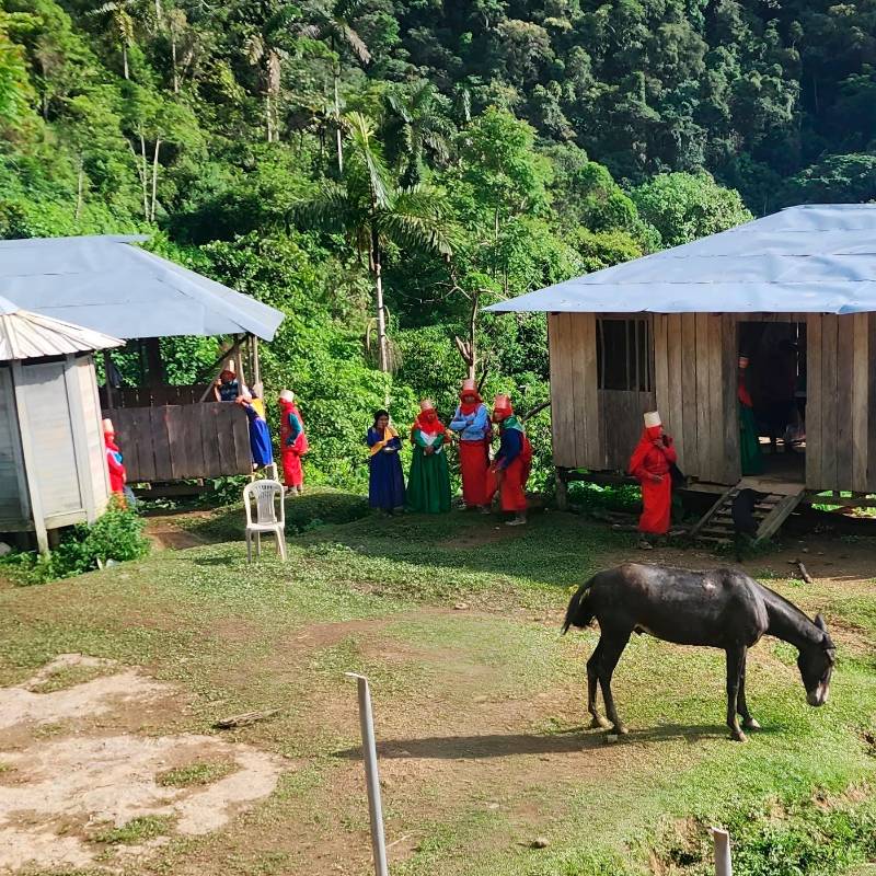 El chindau es el sombrero construido con bejucos que portan los hombres y mujeres de Jaidukamá. Representa el firmamento y el arcoíris. FOTO cortesía