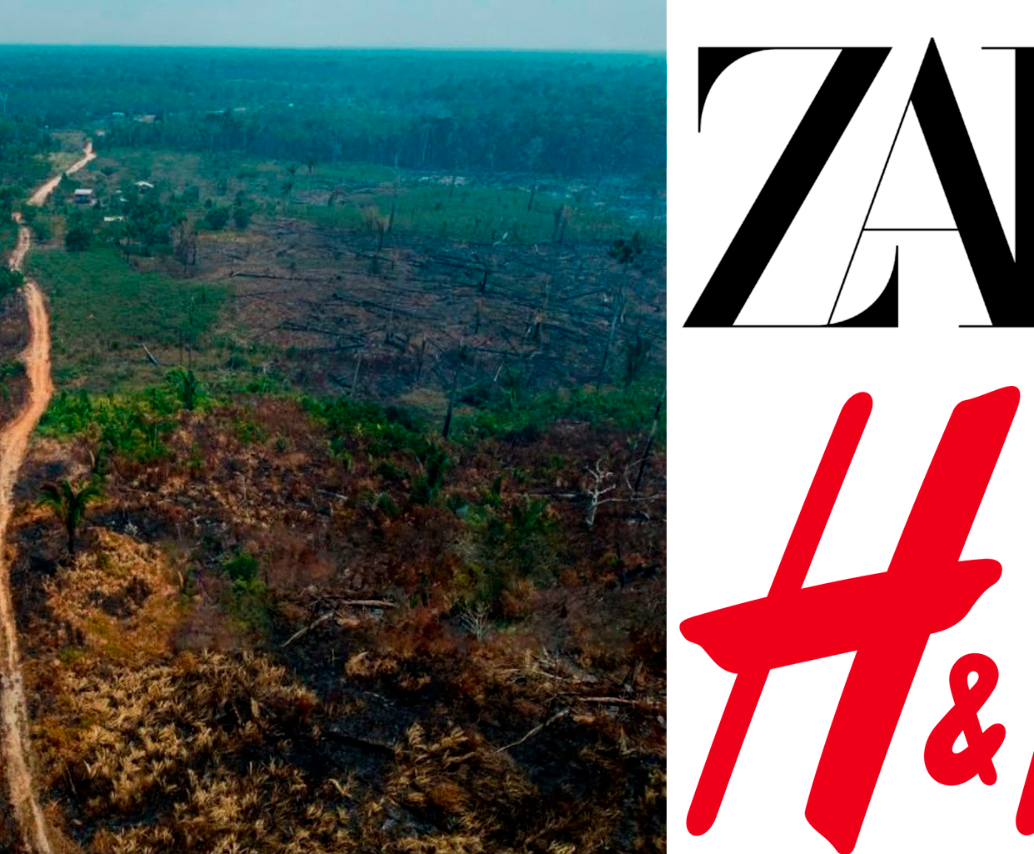 La oenegé británica Earthsight acusa a H&amp;M y Zara de estar “vinculadas” a actividades de deforestación ilegal a gran escala, acaparamiento de tierras, corrupción y la violencia en las plantaciones de algodón de sus subcontratistas en Brasil. Foto Getty. 