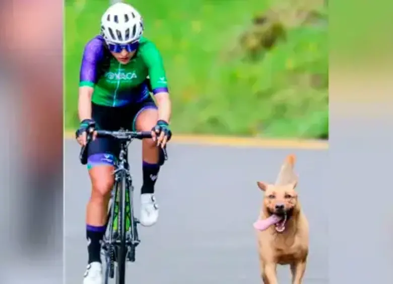 ‘Mono’, el peludito que acompañó la Vuelta Colombia Femenina y que “llegó de 13”