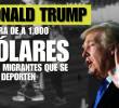 “Les daremos un hermoso viaje de regreso”: Donald Trump