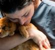 Así puedes saber si tu gato te extraña cuando no estás