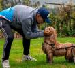Nace una academia de formación para transformar el bienestar animal