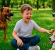 Cinco enfermedades que pueden transmitirse en las heces de tu perro