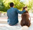 Cómo superar la “depresión del cachorro” ¡Claves para cuidadores!