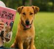 El gran libro de los perros: una obra para los verdaderos amantes de la literatura
