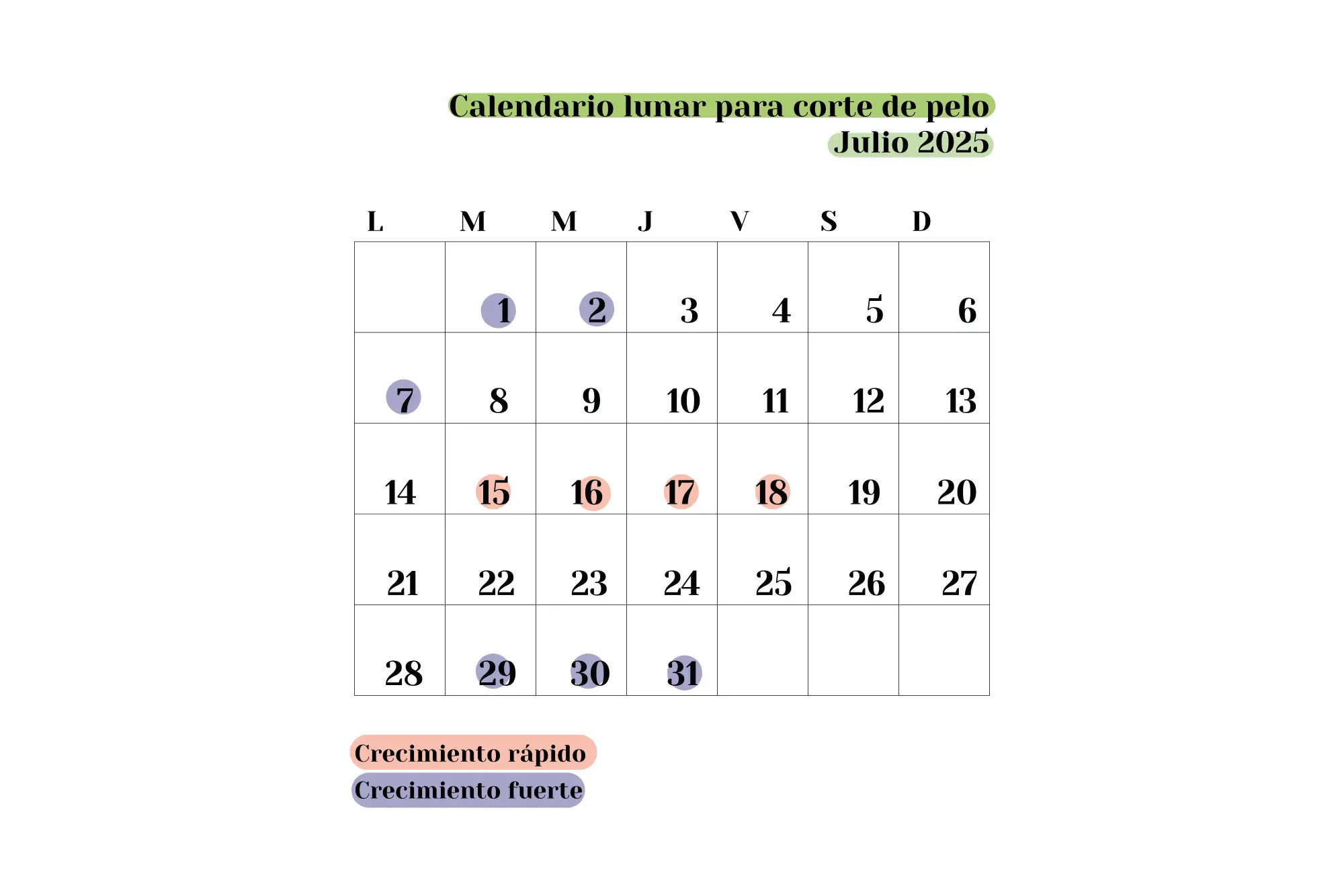 InfogrÃ¡fico