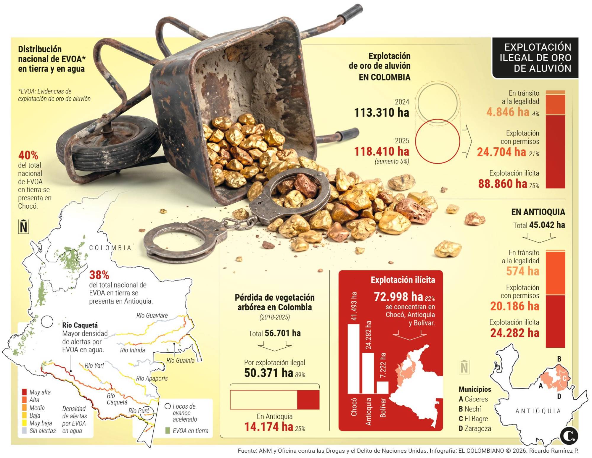 InfogrÃ¡fico