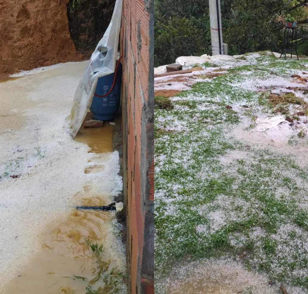Así quedaron los cultivos después de la fuerte granizada en el municipio de Guarne. FOTO: Cortesía Alcaldía de Guarne Así quedaron los cultivos después de la fuerte granizada en el municipio de Guarne. FOTO: Cortesía Alcaldía de Guarne