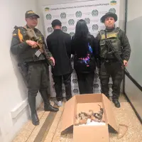 La pareja que intentaba sacar a los primates quedó bajo custodia de las autoridades para llevarlos ante la justicia. FOTO 