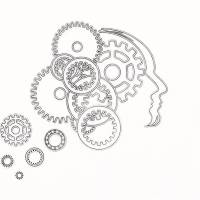 La estimulación del nervio vago permite reducir las crisis epilépticas sin necesidad de cirugía cerebral invasiva. FOTO Pixabay