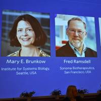 Mary E Brunkow, Fred Ramsdell y Shimon Sakaguchi fueron premiados con el Nobel de Medicina este lunes, 6 de octubre. FOTO: AFP