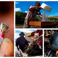 También llamada minería de subsistencia, la modalidad más común en el país es el barequeo, definido como el lavado de arenas y tierra sin maquinaria para separar metales preciosos de otros elementos. FOTO JULIO CÉSAR HERRERA ECHEVERRY