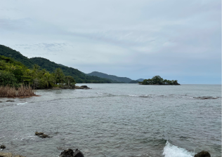 La contaminación por plásticos, la construcción de infraestructura cerca a las costas y el turismo sin regulación son algunas de las grandes amenazas que enfrentan los océanos. FOTO: Cortesía WWF Colombia. 