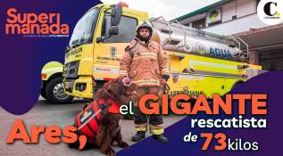 Ares, el perro bombero