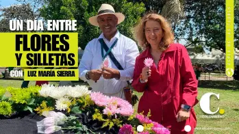 Un día entre flores y silletas