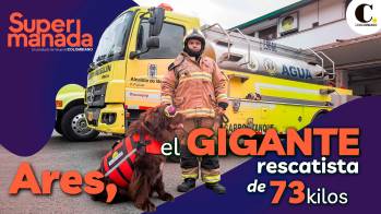 Ares, el perro bombero