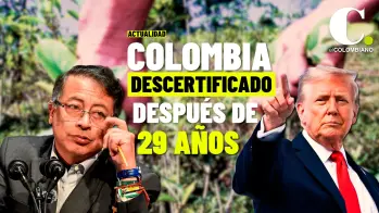 El “waiver” antidrogas para Colombia: ¿qué significa esta exención condicional de EE. UU.?