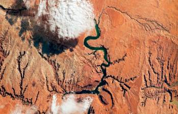 El río Colorado suministra agua a más de 40 millones de personas a su paso por siete estados de EE. UU. Foto: NASA.