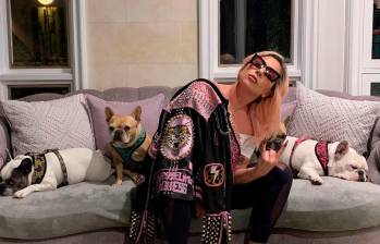 Lady Gaga ofreció una recompensa de 500.000 dólares por el rescate de dos de sus tres perros. La mujer que entregó a los animales fue acusada de complicidad con los raptores. FOTO: TOMADA DE INSTAGRAM @ladygaga