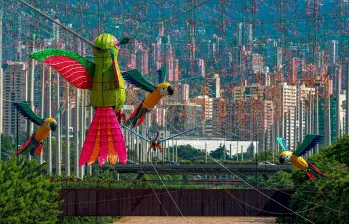 Los alumbrados de 2025 tendrán figuras relacionadas con la fauna y la flora característica de Antioquia, de acuerdo con las figuras vistas en el corredor del río Medellín. FOTOS: MANUEL SALDARRIAGA Los alumbrados de 2025 tendrán figuras relacionadas con la fauna y la flora característica de Antioquia, de acuerdo con las figuras vistas en el corredor del río Medellín. FOTOS: MANUEL SALDARRIAGA