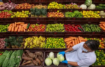 En el estudio participaron más de 400.000 personas de entre 37 y 70 años de Italia, España, Reino Unido, Alemania, Países Bajos y Dinamarca. Foto Manuel Saldarriaga. 