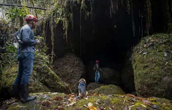 Este es el organal de San Antonio en Támesis, involucrado en la noticia falsa del río subterráneo, y que podría verse en riesgo si este tipo de contenido se traduce en turismo masivo sin control. FOTO: EL COLOMBIANO