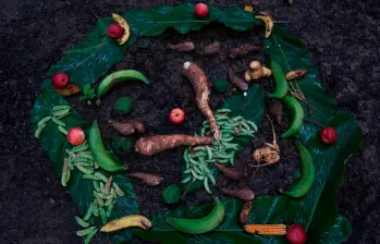 Entre fogones, huertas y recetas locales se tejió una guía que celebra la diversidad alimentaria de Colombia. FOTO cortesía UdeA