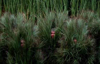 Asi lucían los “arbustos humanos” que participaron como extras en este espectáculo. FOTO Getty