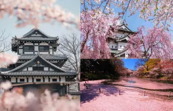 Parque Sitio del Castillo Takada, Niigata, Barrio Shimoshirogane y el parque de Inokashira en Japón. Foto: Japan Endless Discovery/ @mark.matsuoka