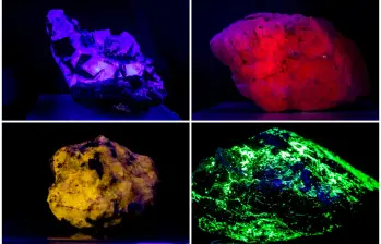 Muestras de minerales fluorescentes del Museo de Geociencias, abierto al público de forma gratuita. FOTOS Julio César Herrera Muestras de minerales fluorescentes del Museo de Geociencias, abierto al público de forma gratuita. FOTOS Julio César Herrera