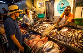 Todavía en Colombia el consumo de pescado es muy bajo, pues está en 9,5 kilos anuales; mientras en el mundo es de 21 kilos. Foto: Carlos Velásquez