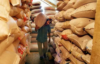 Según Fenalce, a junio, se exportaron 301.498 kilos de maíz blanco a Estados Unidos, Chile y España. FOTO EL COLOMBIANO Según Fenalce, a junio, se exportaron 301.498 kilos de maíz blanco a Estados Unidos, Chile y España. FOTO EL COLOMBIANO