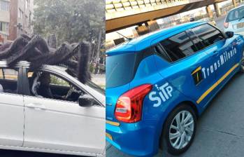 Los carros deben cumplir ciertas normas de visibilidad y legibilidad en caso de ser disfrazados. Fotos: Captura de video @adnnoticiasmx y @PasaenBogota Los carros deben cumplir ciertas normas de visibilidad y legibilidad en caso de ser disfrazados. Fotos: Captura de video @adnnoticiasmx y @PasaenBogota