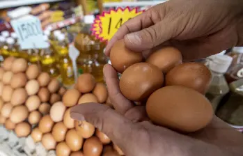 Además del crecimiento en consumo y producción, el huevo se consolida como la proteína más accesible para los hogares. FOTO: Manuel Saldarriaga.