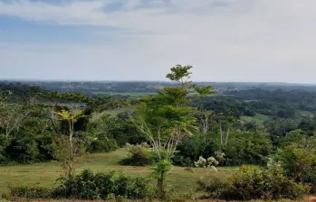 Imagen de referencia de la zona que sería declarada reserva. FOTO: Cortesía Corantioquia