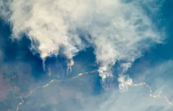 El bosque tropical es uno de los ecosistemas más diversos y estratégicos para el equilibrio ambiental. FOTO Nasa Earth
