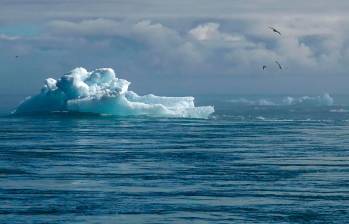 En la Conferencia de las Naciones Unidas sobre los Océanos, que se realiza en Niza, científicos y líderes de la sociedad civil alertan sobre el deterioro acelerado de los ecosistemas marinos y exigen compromisos reales para frenar la crisis. FOTO Pixabay