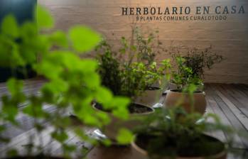 La exposición Herbolario en casa, 9 plantas comunes curalotodo estará abierta hasta el 23 de marzo en La Bruja Riso (Cra 42 # 8 - 15 int. 2020). Foto Carlos Velásquez.
