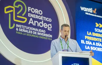 Luis Miguel Fernández, presidente de la junta directiva del Andeg. Foto: Cortesía