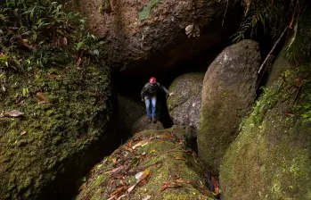 El organal de San Antonio es el más grande en Colombia. Allí se ha hecho un turismo predominantemente pedagógico y científico. FOTO: EL COLOMBIANO