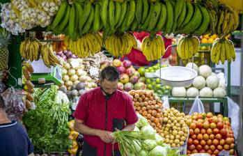 Según el Ministerio de Agricultura, durante enero se observó una disminución en los precios mayoristas de alimentos esenciales para la canasta familiar colombiana. FOTO Juan Antonio Sánchez