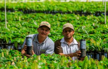 Elmer Zapata, gerente de Asocaval, lidera junto a Juan Fernando Espinosa la transformación del cacao en Valdivia. FOTO CAMILO SUÁREZ
