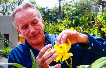 Un santuario con 25.000 orquídeas en La Ceja, Antioquia, busca salvar especies de la extinción