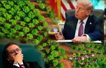 Los efectos económicos de la descertificación de Estados Unidos a Colombia aún están por verse. FOTO Colprensa, AFP y Presidencia