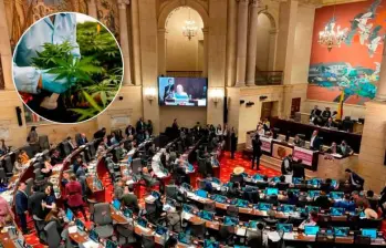 La iniciativa se hundió en junio de 2023 en el último de sus ocho debates. Se busca hacer una excepción a un artículo de la Constitución para crear un mercado legal de esta sustancia, al que solo podrán acceder mayores de edad. FOTO: EL COLOMBIANO