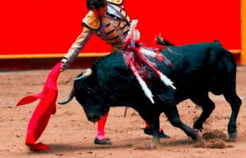 Juan Carlos Losada, representante a la Cámara por el partido Liberal, presentó nuevamente proyecto de ley para prohibir corridas de toros en el país. Foto: Archivo El Colombiano. 