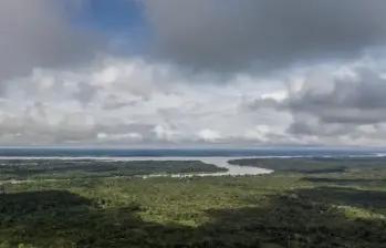 Putumayo y Guaviare mostraron aumentos en las alertas de deforestación, con 140 y 167 hectáreas adicionales. FOTO: SANTIAGO MESA RICO