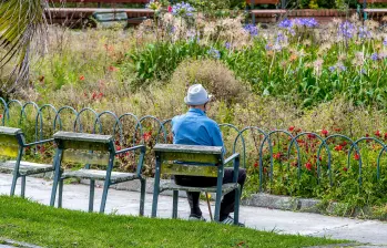 La sociabilidad es uno de los mecanismos de prevención de diferentes enfermedades en la edad adulta, como la demencia. FOTO Juan Antonio Sánchez