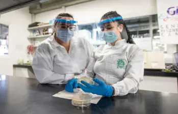 Uno de los ítems generales a mejorar es la investigación. Foto: Camilo Suárez